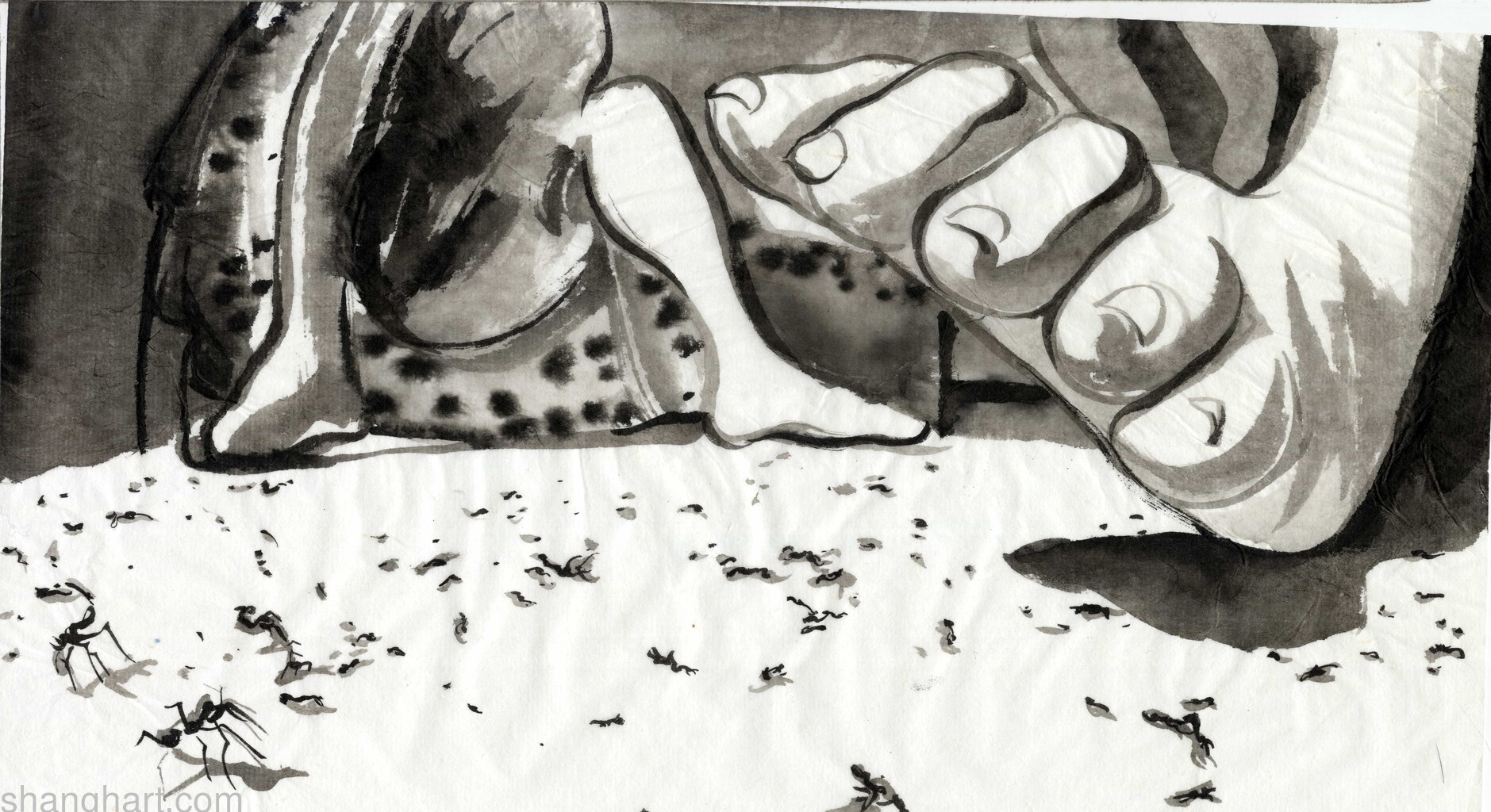 scan