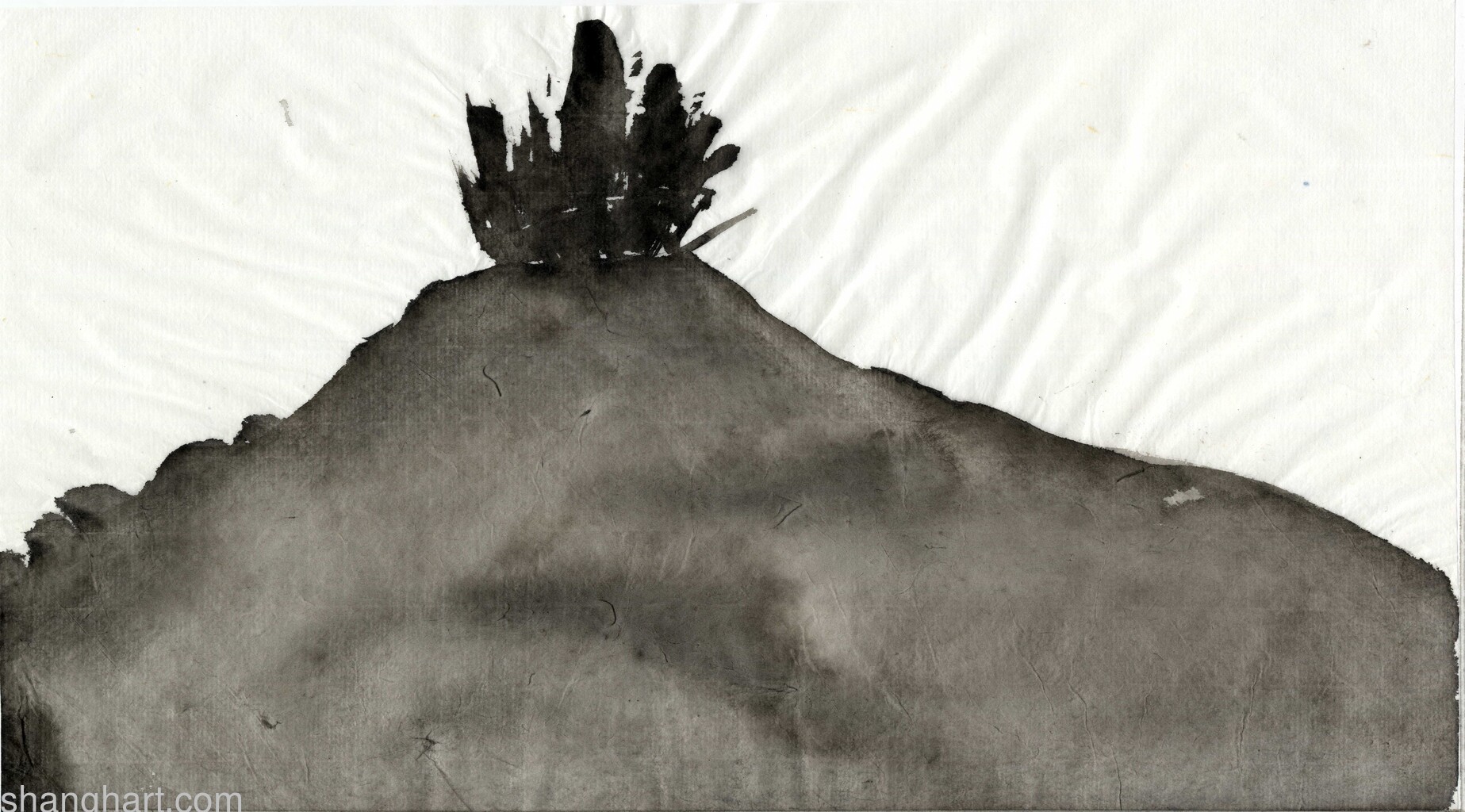 scan