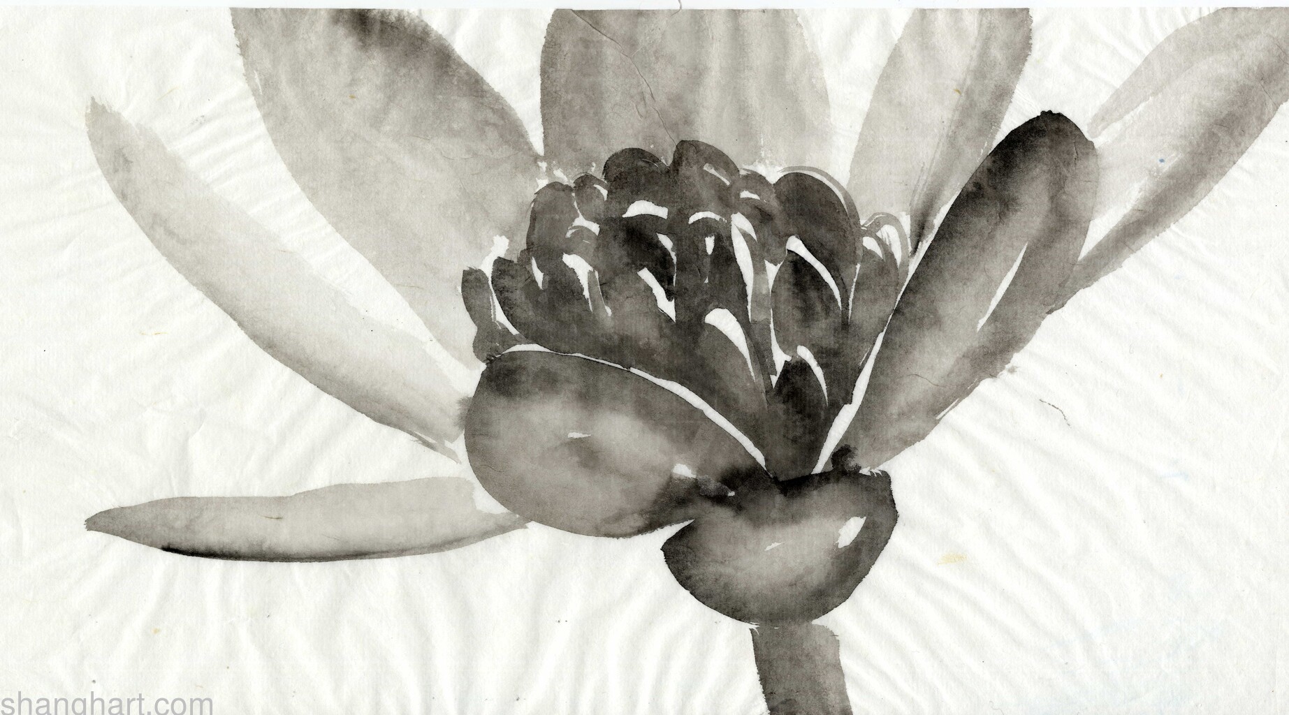 scan