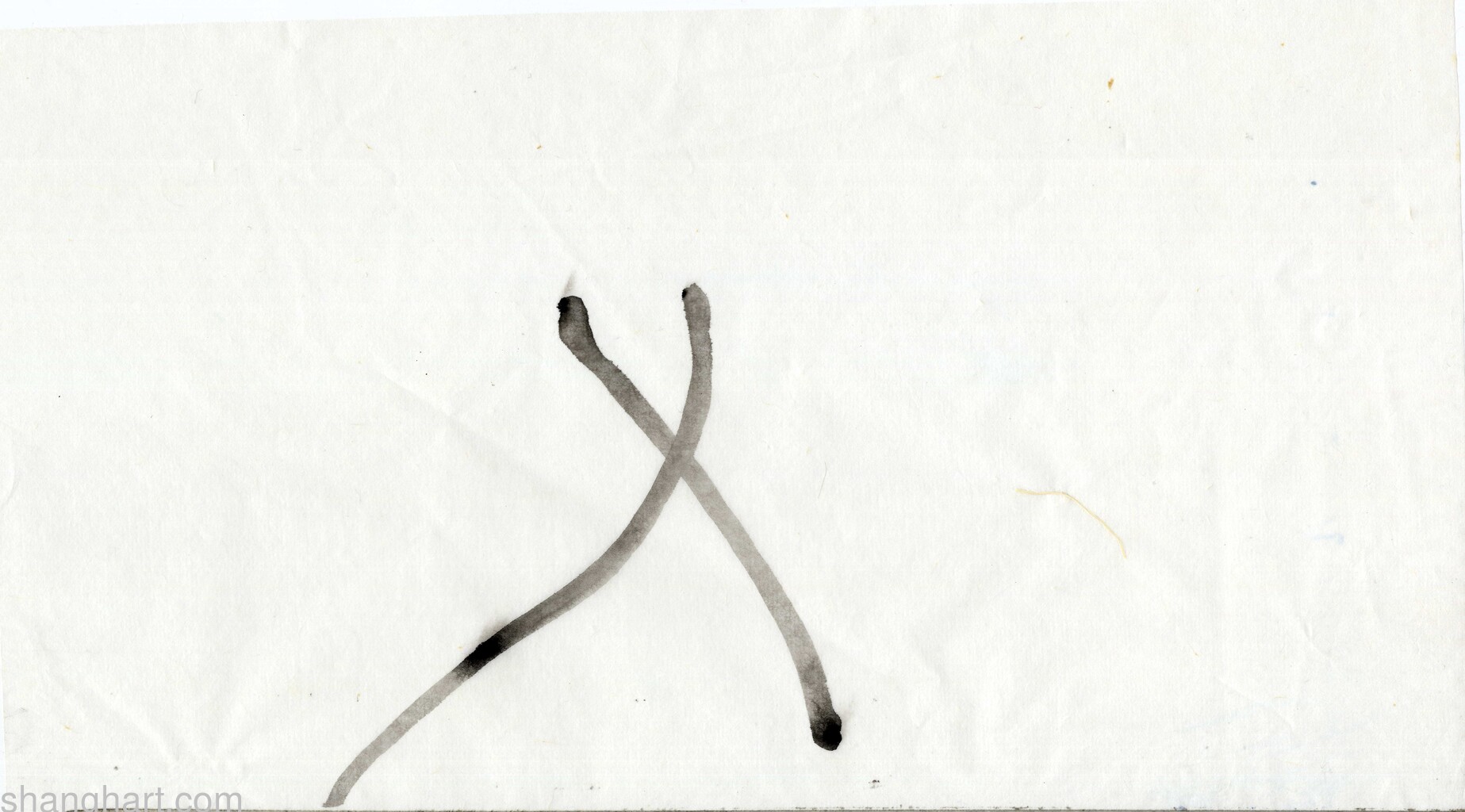 scan
